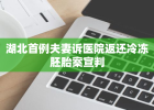 湖北首例夫妻诉医院返还冷冻胚胎案宣判
