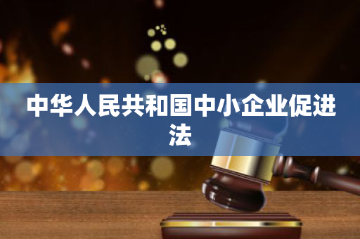 中华人民共和国中小企业促进法