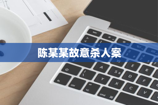 陈某某故意杀人案