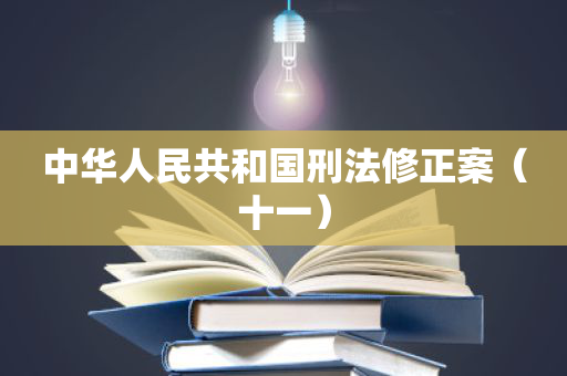 中华人民共和国刑法修正案（十一）
